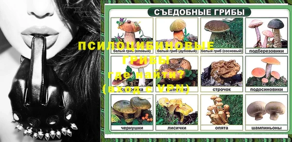 дмт Богородицк
