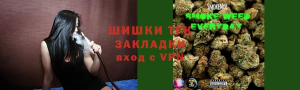 дмт Богородицк