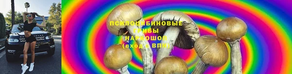 дмт Богородицк
